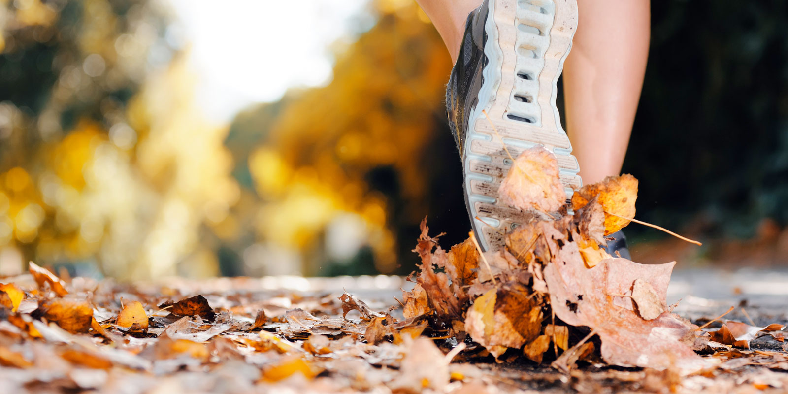 Le jogging